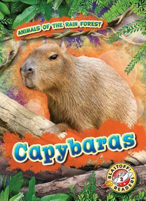 Capybaras by Rachel Grack