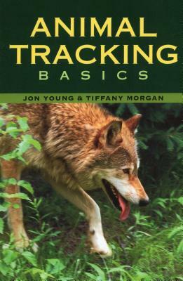 Animal Tracking Basics by Jon Young, Tiffany Morgan