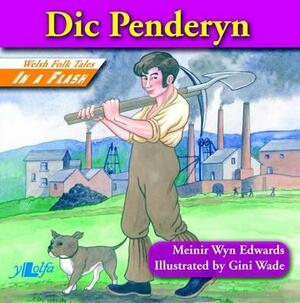 DIC Penderyn by Meinir Wyn Edwards