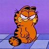 seamusmeehan's profile picture