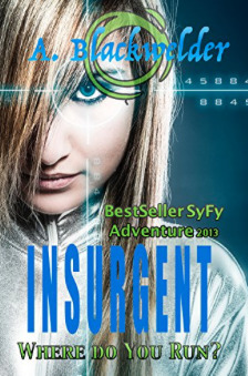 Insurgent by Ami Blackwelder