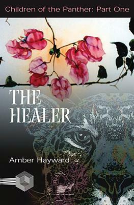 The Healer by Amber Hayward