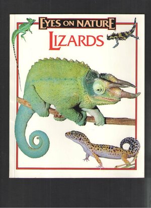 Lizards by Robert Matero