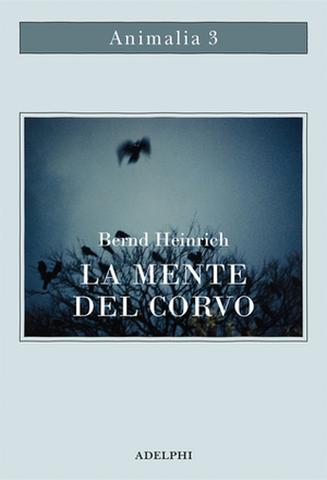 La mente del corvo: ricerche e avventure con gli uccelli-lupo by Bernd Heinrich, Valentina Marconi