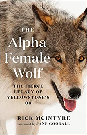 The Alpha Female Wolf: The Fierce Legacy of Yellowstone's 06 by Rick McIntyre, Jane Goodall
