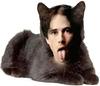 ittasteslikepoprocks's profile picture