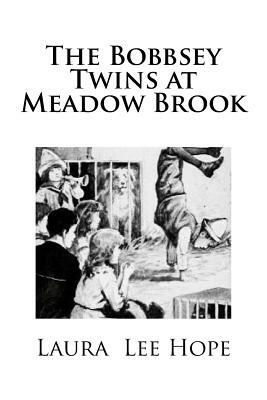 The Bobbsey Twins at Meadow Brook by Laura Lee Hope