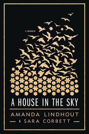 A House in the Sky by Amanda Lindhout