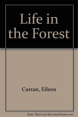 Life In The Forest by Eileen Curran