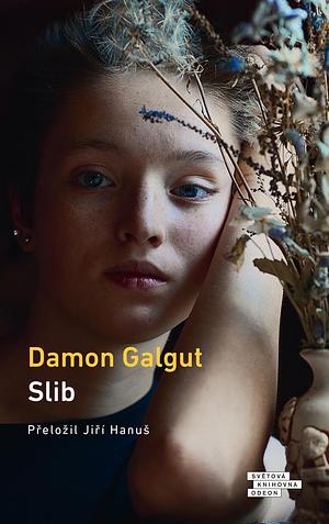 Slib by Damon Galgut