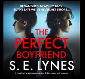 The Perfect Boyfriend by S E Lynes