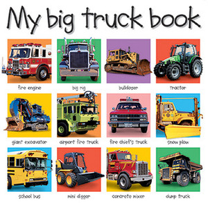 My Big Truck Book by Priddy Bicknell, Roger Priddy