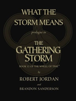 What the Storm Means by Brandon Sanderson, Robert Jordan