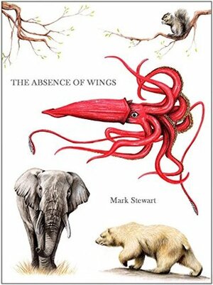 The Absence of Wings by Mark Stewart