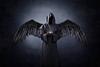angelofdeath39's profile picture