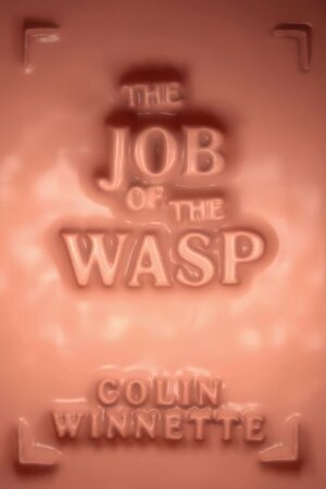 The Job of the Wasp by Colin Winnette