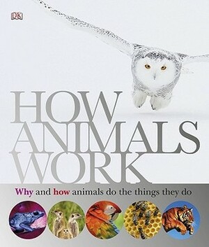 How Animals Work by David Burnie