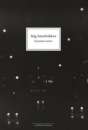 Gjennom natten by Stig Sæterbakken