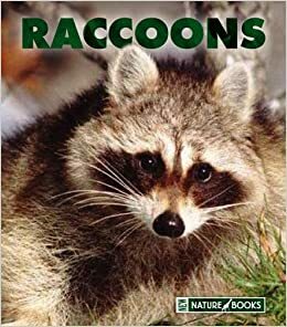 Raccoons by Patrick Merrick