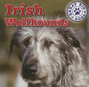 Irish Wolfhounds by Kristen Rajczak