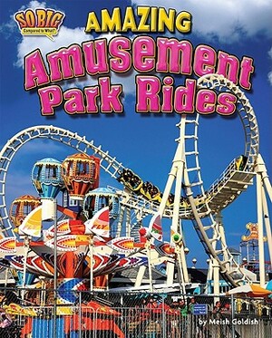 Amazing Amusement Park Rides by Meish Goldish