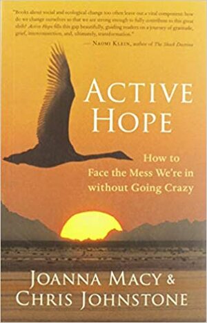 Aktivt hopp: Att möta vår tids utmaningar utan att bli galen by Joanna Macy, Chris Johnstone