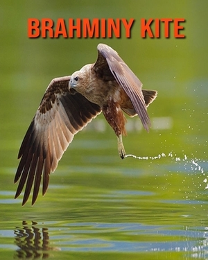 Brahminy kite: Learn About Brahminy kite and Enjoy Colorful Pictures by Diane Jackson