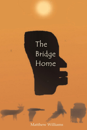 The Bridge Home by Matthew Williams