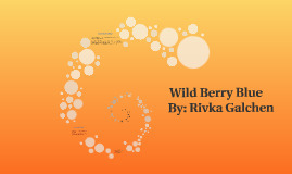 Wild Berry Blue by Rivka Galchen