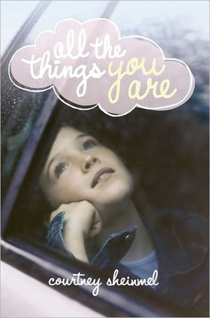 All the Things You Are by Courtney Sheinmel