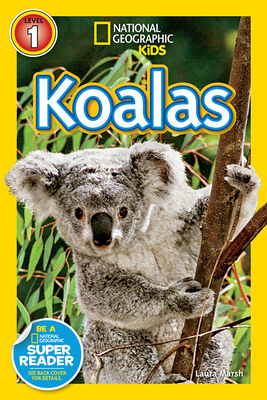 Koalas by Laura Marsh