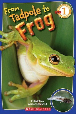 Scholastic Reader Level 1: From Tadpole to Frog by Kathleen Weidner Zoehfeld