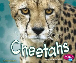 Cheetahs by Deborah Nuzzolo