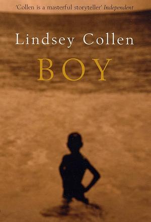 Boy by Lindsey Collen