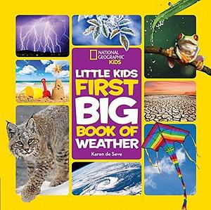 Little Kids First Big Book of Weather by Karen De Seve, Karen De Seve