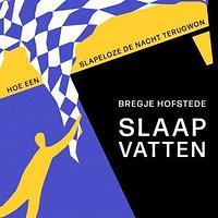 Slaap vatten. Hoe een slapeloze de nacht terugwon by Bregje Hofstede