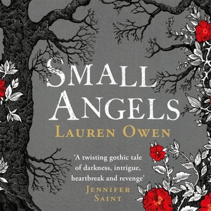 Small Angels by Lauren Owen