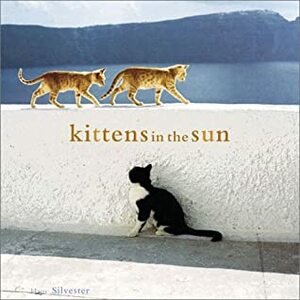 Kittens in the Sun by Hans W. Silvester