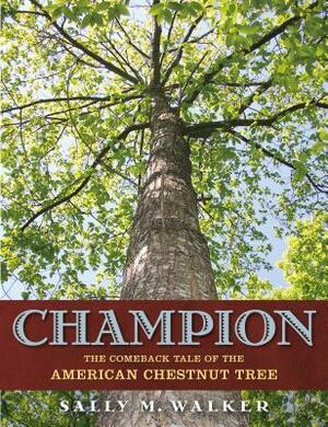 Champion: The Comeback Tale of the American Chestnut Tree by Sally M. Walker