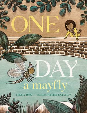 One Day a Mayfly by Shirley Marr, Michael Speechley