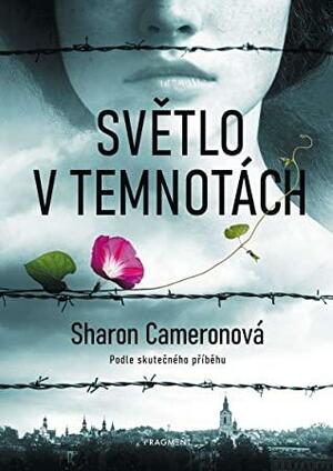 Světlo v temnotách by Sharon Cameron