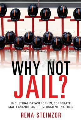 Why Not Jail?: Industrial Catastrophes, Corporate Malfeasance, and Government Inaction by Rena Steinzor