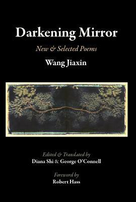 Darkening Mirror by Wang Jiaxin