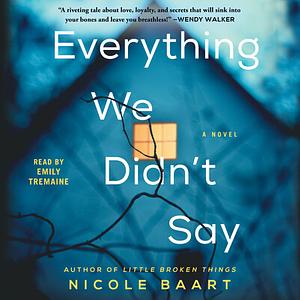 Everything We Didn't Say by Nicole Baart