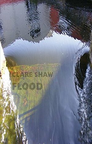 Flood by Clare Shaw