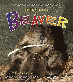 Beaver by Bobbie Kalman