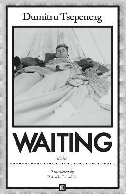 Waiting: Stories by Patrick Camiller, Dumitru Țepeneag