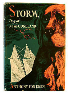 Storm, Dog Of Newfoundland by Anthony Fon Eisen