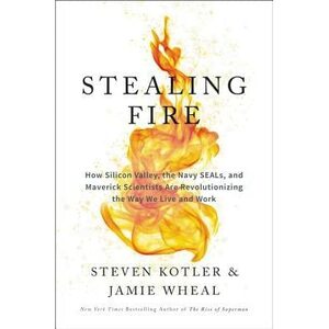 Stealing Fire: How Silicon Valley, the Navy SEALs, and Maverick Scientists Are Revolutionizing the Way We Live and Work by Steven Kotler