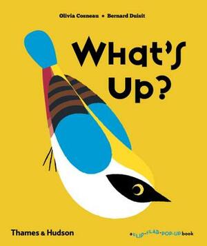 What's Up? by Olivia Cosneau, Bernard Duisit